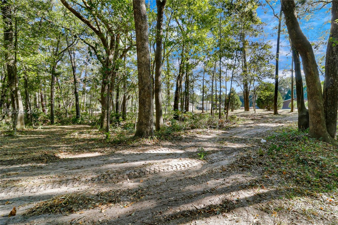 152 Riverview Drive, Ridgeland, South Carolina image 15