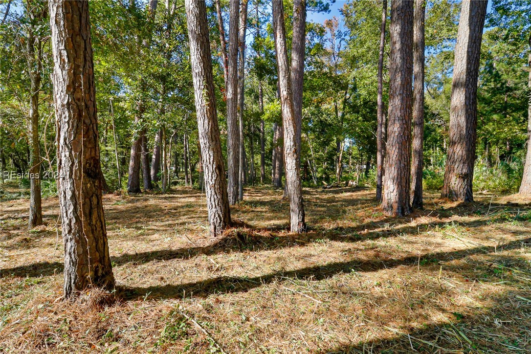 152 Riverview Drive, Ridgeland, South Carolina image 20