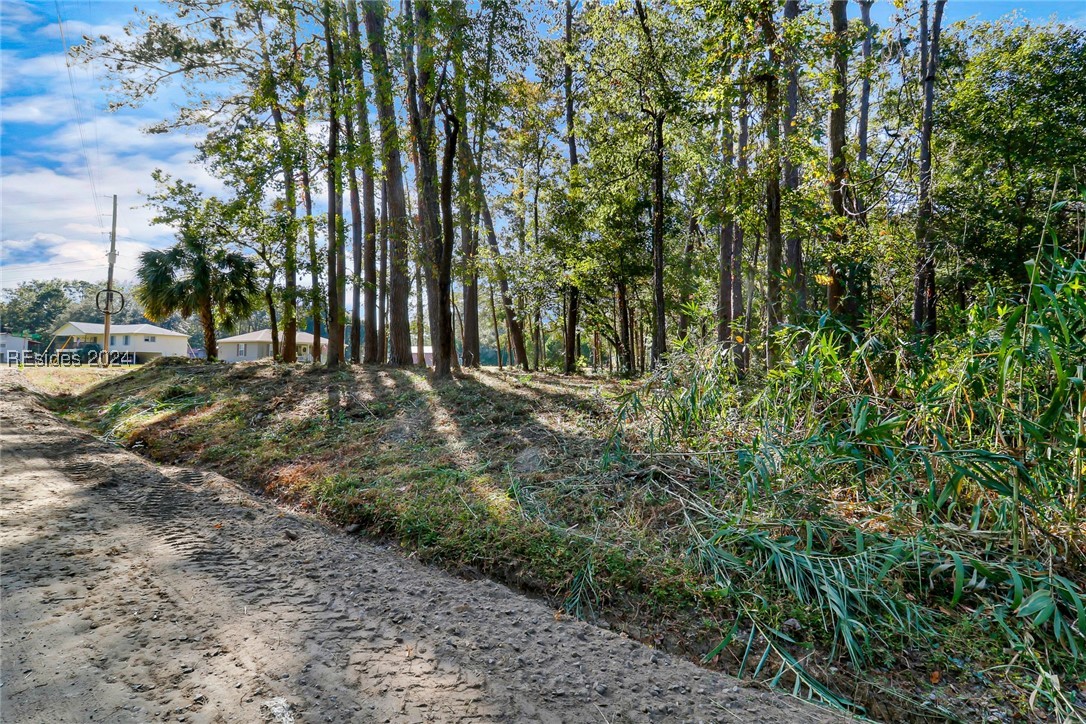 152 Riverview Drive, Ridgeland, South Carolina image 22