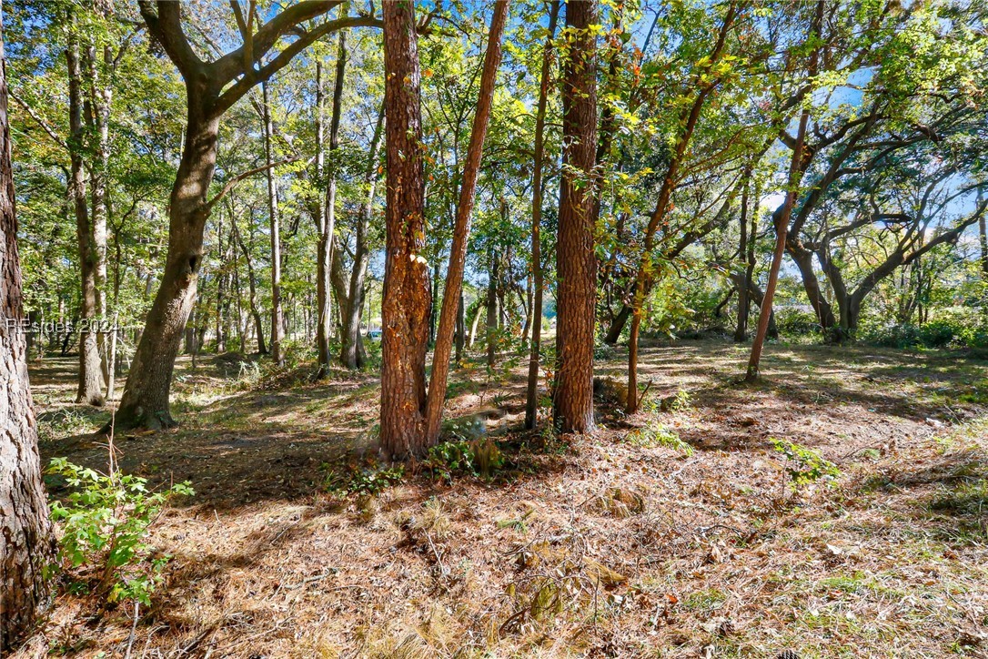 152 Riverview Drive, Ridgeland, South Carolina image 13