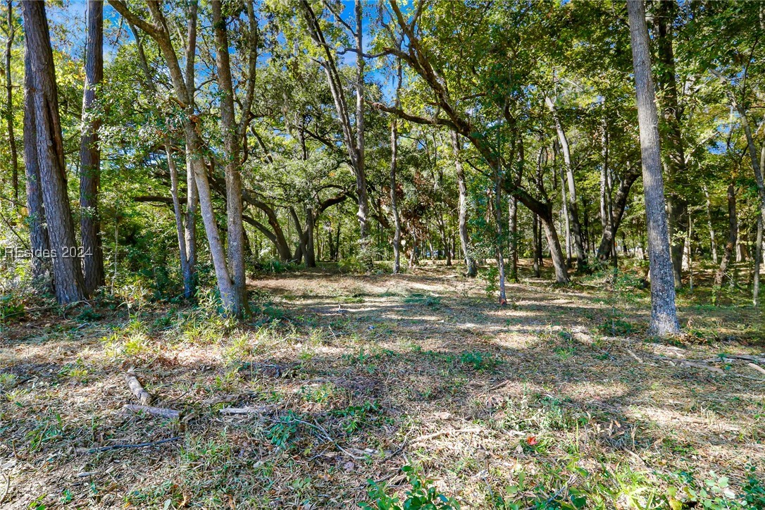 152 Riverview Drive, Ridgeland, South Carolina image 16