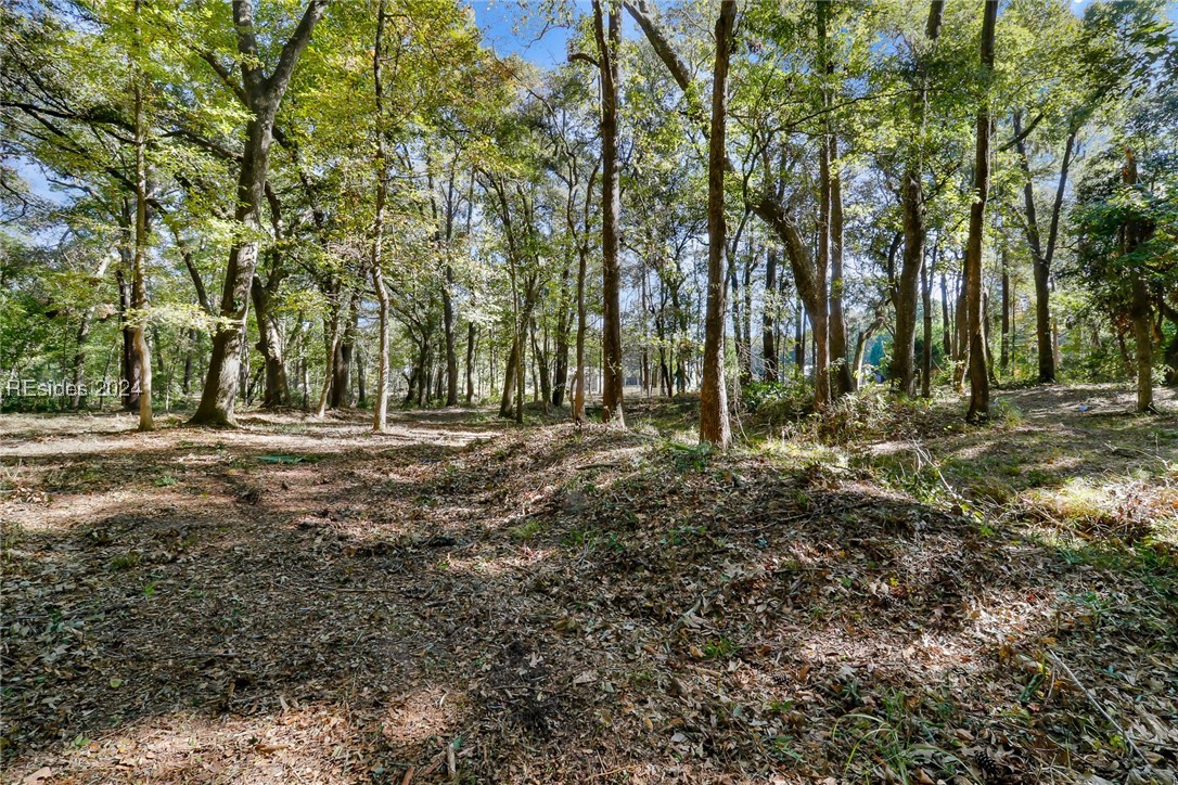 152 Riverview Drive, Ridgeland, South Carolina image 14
