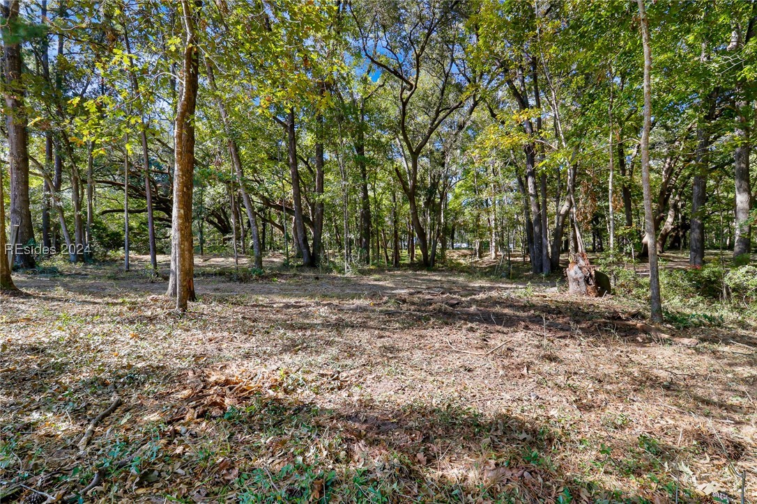 152 Riverview Drive, Ridgeland, South Carolina image 19