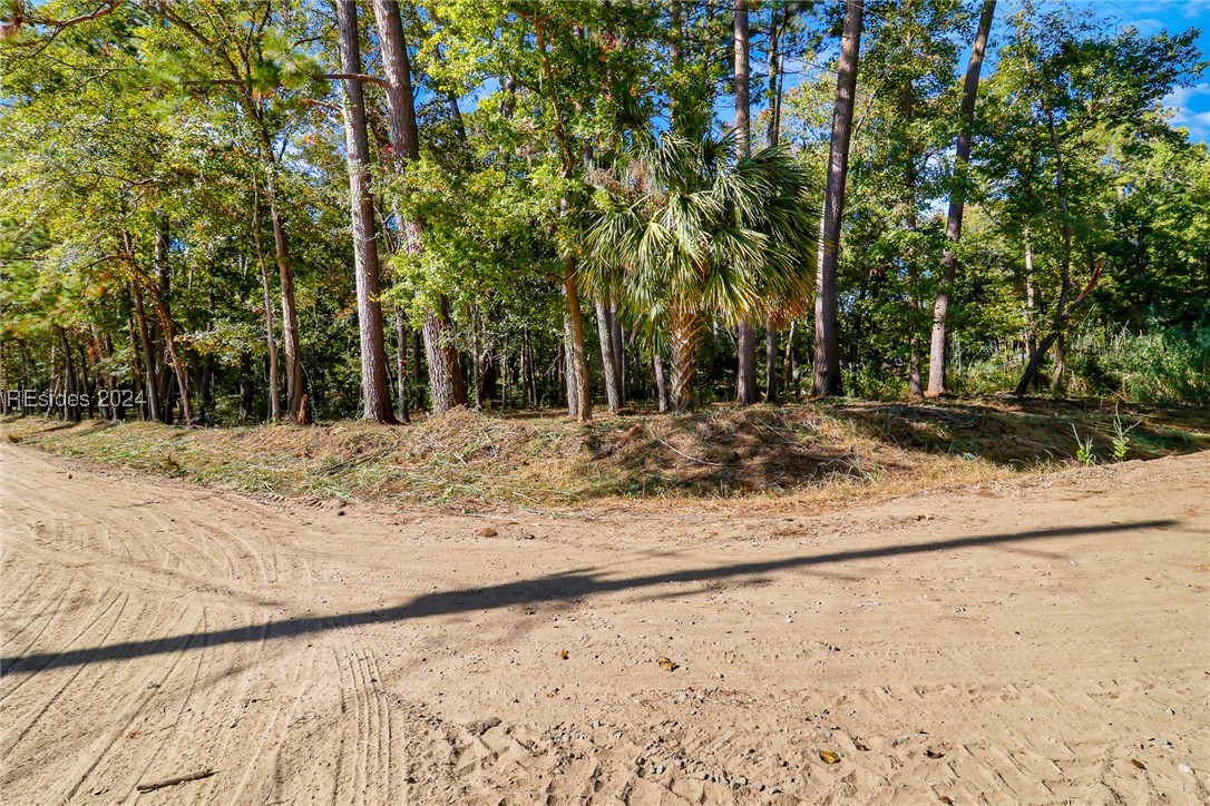 152 Riverview Drive, Ridgeland, South Carolina image 21