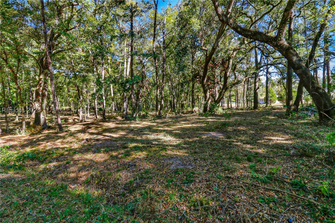 152 Riverview Drive, Ridgeland, South Carolina image 12