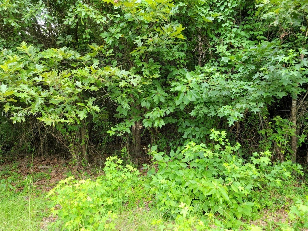 Oakwood Drive, Hardeeville, South Carolina image 12