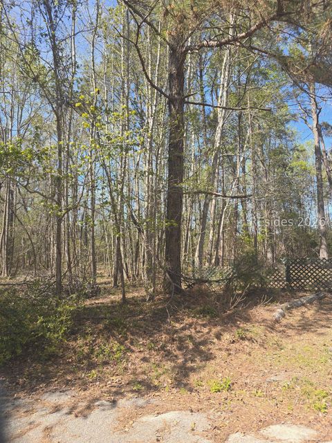 Vacant Land For Sale - LOT 5 Freeman Street<br/> Hampton County, Brunson, SC 29911