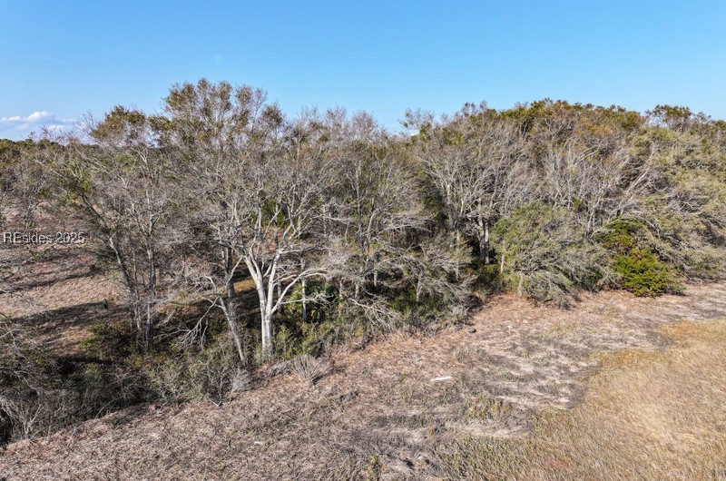 TBD Nathan Pope Drive, Saint Helena Island, South Carolina image 12