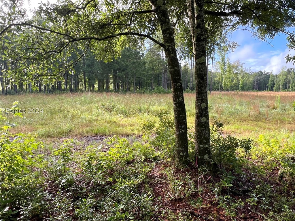 300-A Sardis Road, Ridgeland, South Carolina image 6