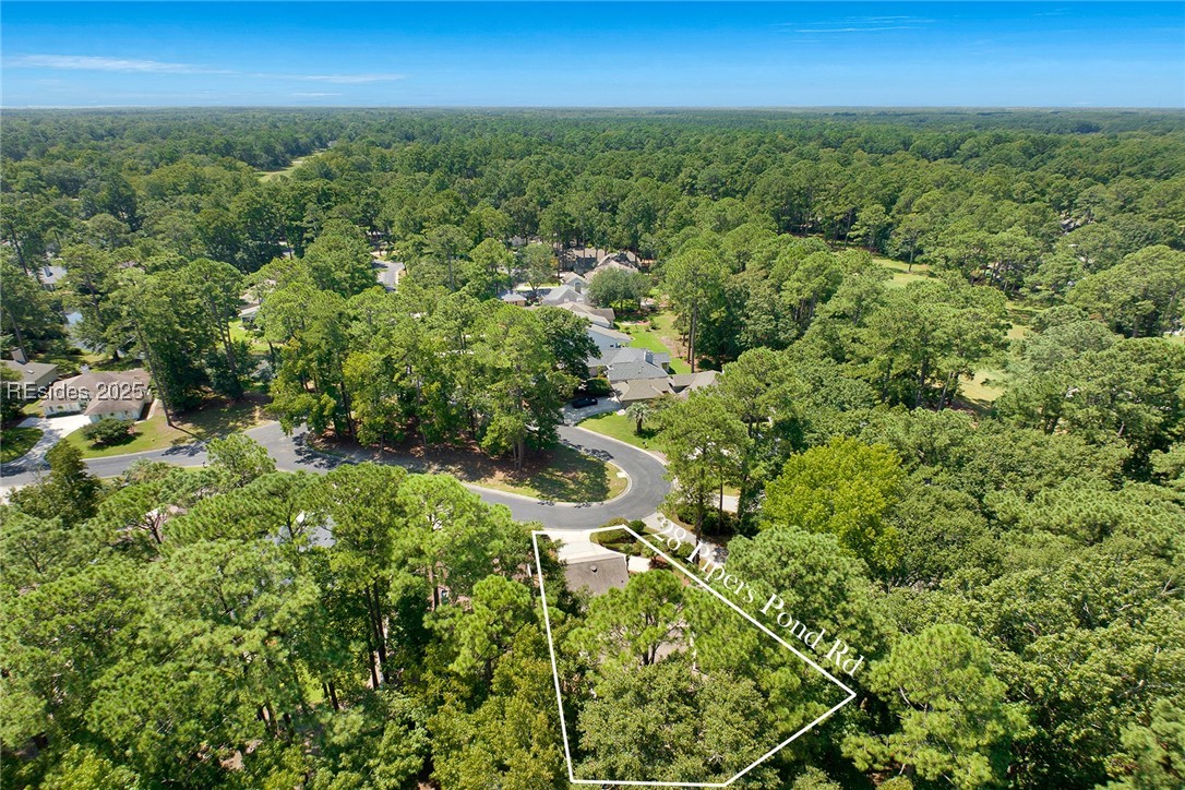 28 Pipers Pond Road, Bluffton, South Carolina image 38