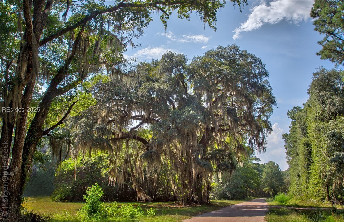 39 Church Rd Rd, Daufuskie Island, South Carolina image 3