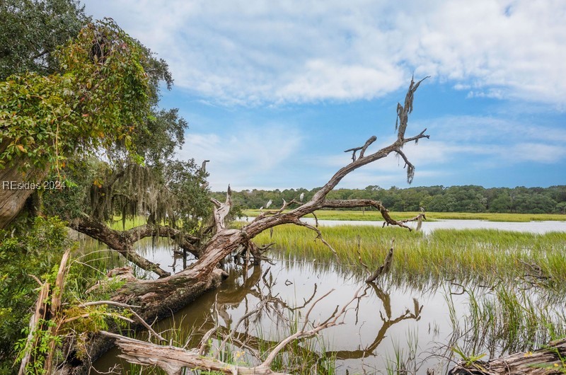 27 Anna Estate Lane, Saint Helena Island, South Carolina image 33