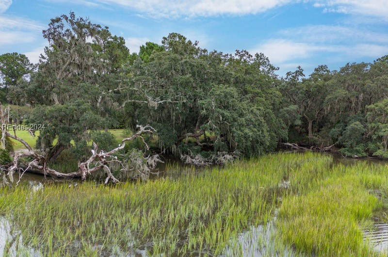 27 Anna Estate Lane, Saint Helena Island, South Carolina image 26