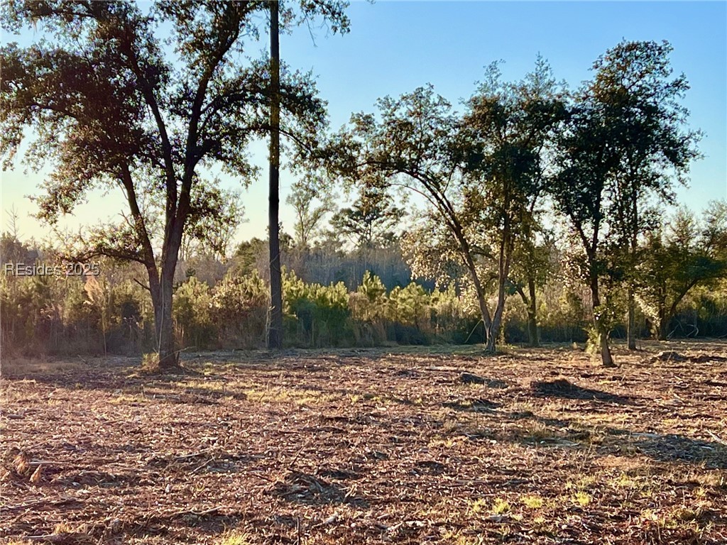 Tbd R&m Plantation Circle, Ridgeland, Texas image 8