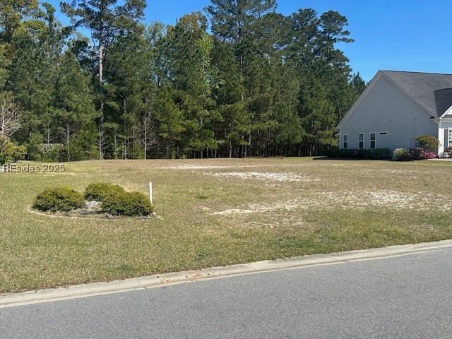 1200 Wiregrass Way, Hardeeville, Texas image 1
