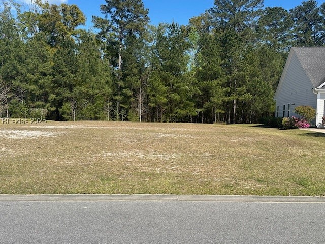 1200 Wiregrass Way, Hardeeville, Texas image 4