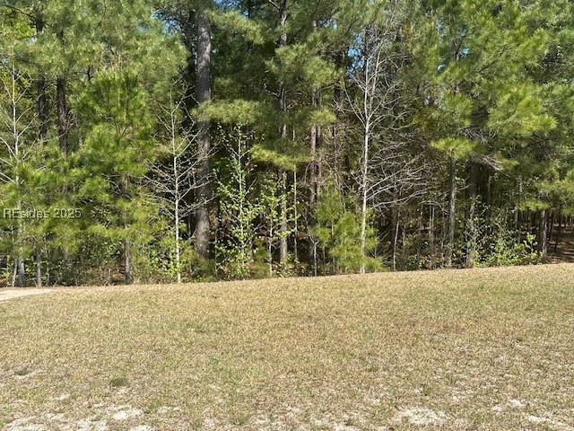 1200 Wiregrass Way, Hardeeville, Texas image 2