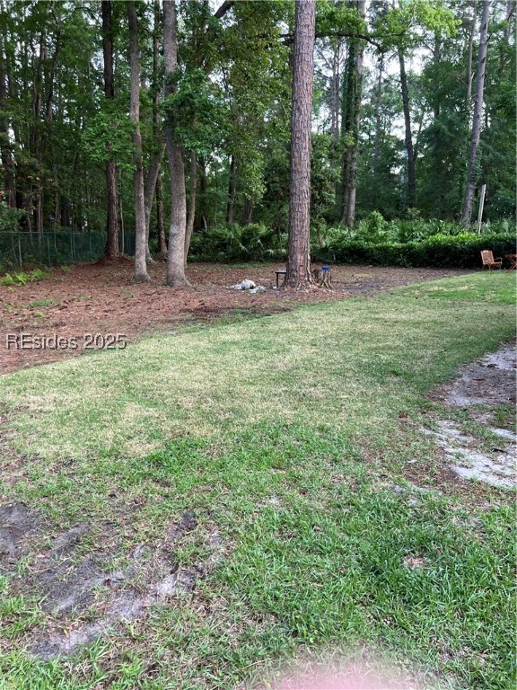 33 Edgewood Drive, Hilton Head Island, Texas image 29