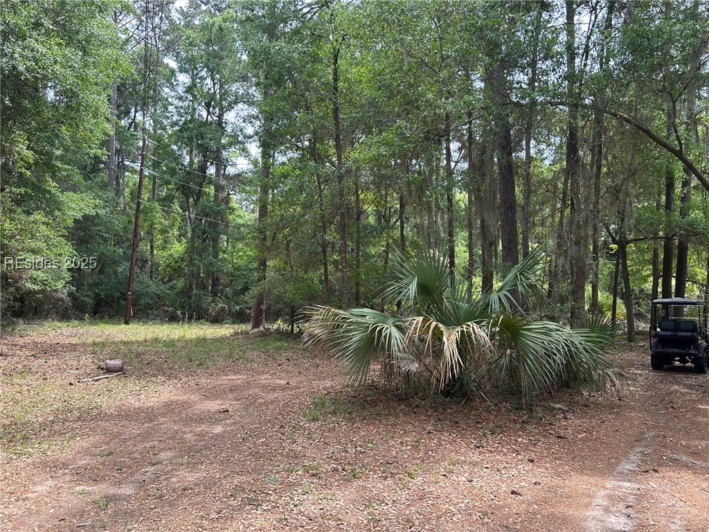 5 Maryfield Court, Daufuskie Island, South Carolina image 2
