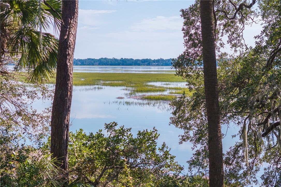 224 Spring Island Drive, Okatie, South Carolina image 34