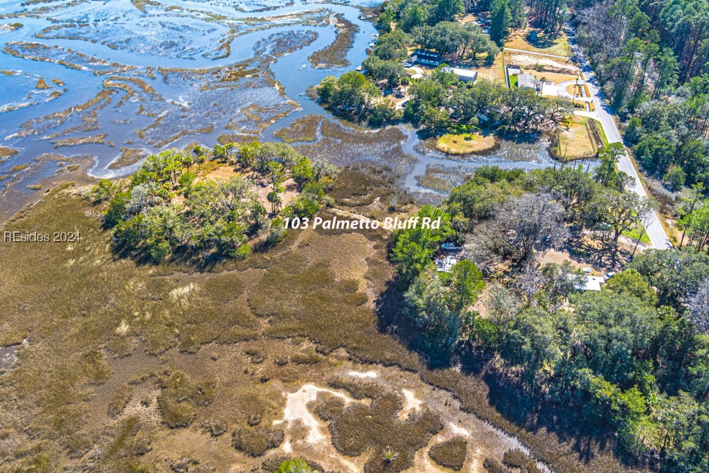 103 Palmetto Bluff Road, Bluffton, South Carolina image 1