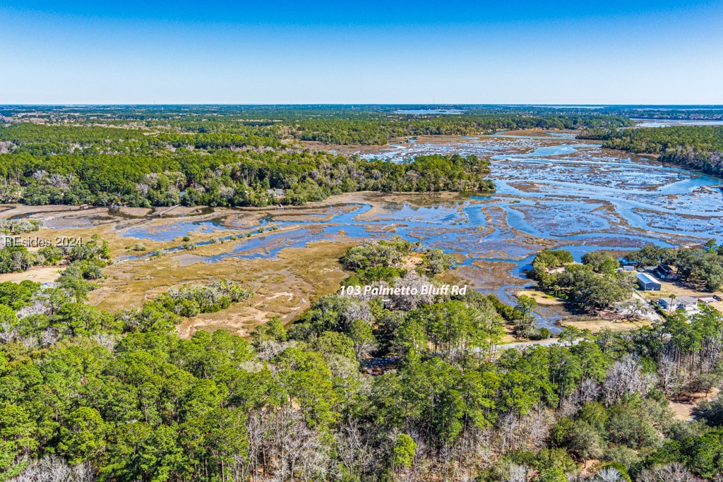 103 Palmetto Bluff Road, Bluffton, South Carolina image 34