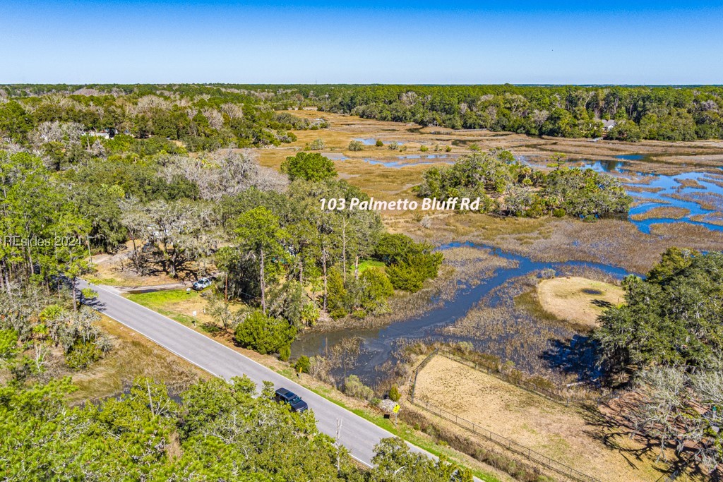 103 Palmetto Bluff Road, Bluffton, South Carolina image 37