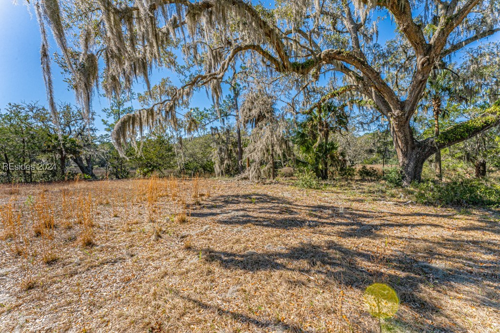 103 Palmetto Bluff Road, Bluffton, South Carolina image 28