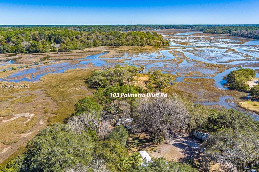 103 Palmetto Bluff Road, Bluffton, South Carolina image 40