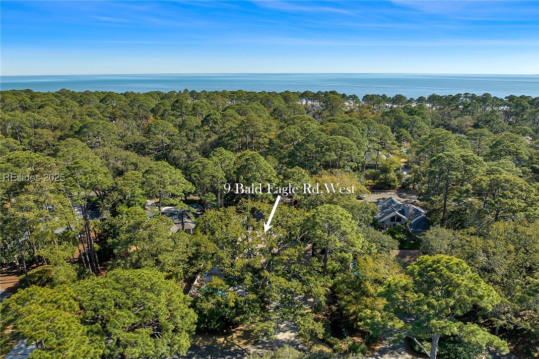 9 Bald Eagle Road, Hilton Head Island, South Carolina image 46