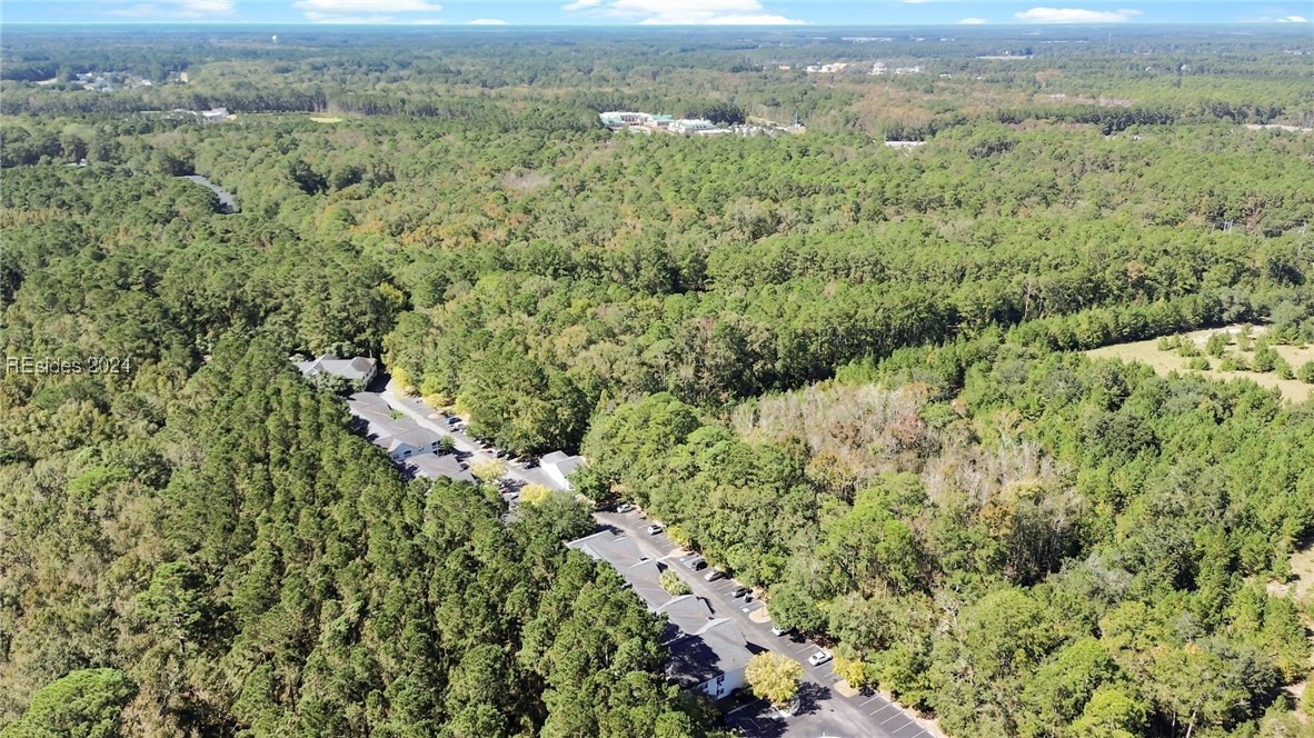 50 Pebble Beach Cove #K211, Bluffton, South Carolina image 39