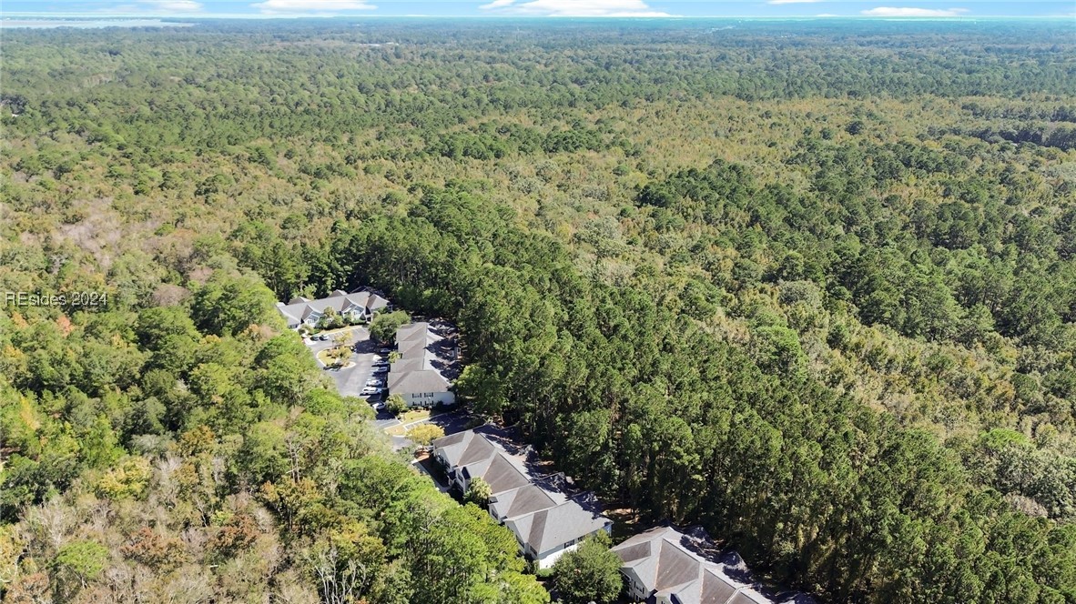 50 Pebble Beach Cove #K211, Bluffton, South Carolina image 36