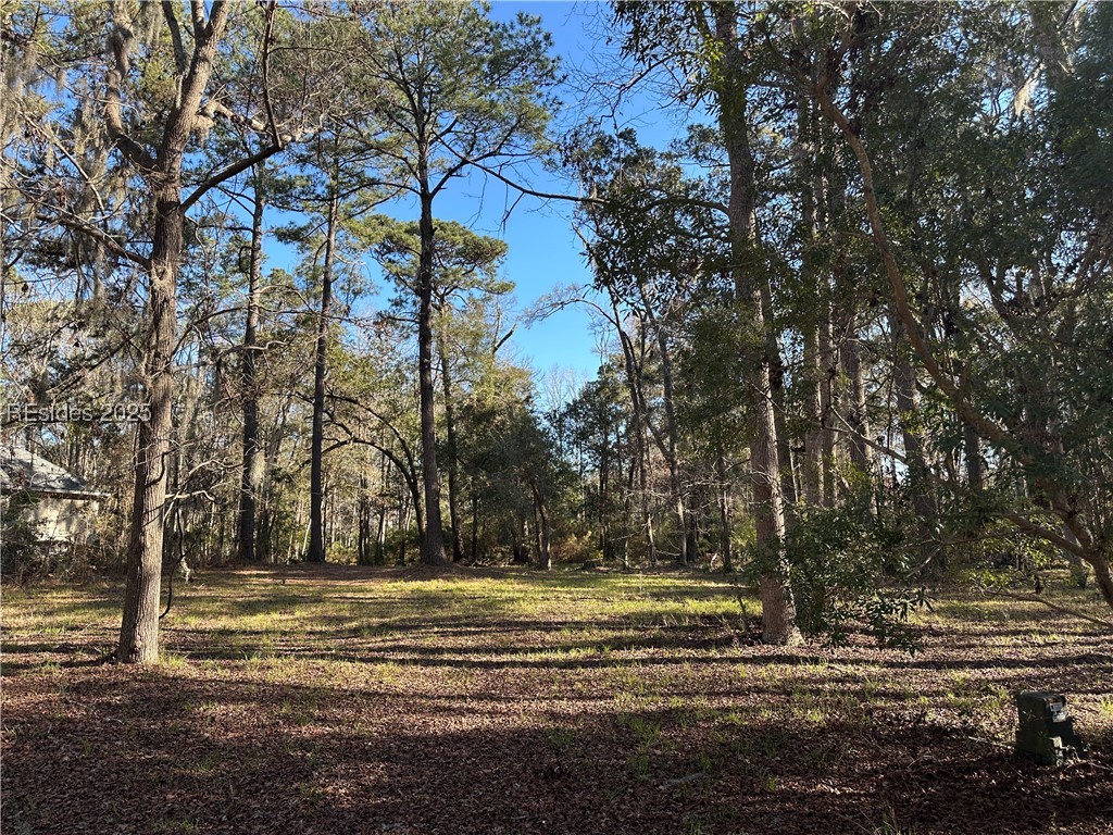 17 Drummond Lane, Hilton Head Island, South Carolina image 2