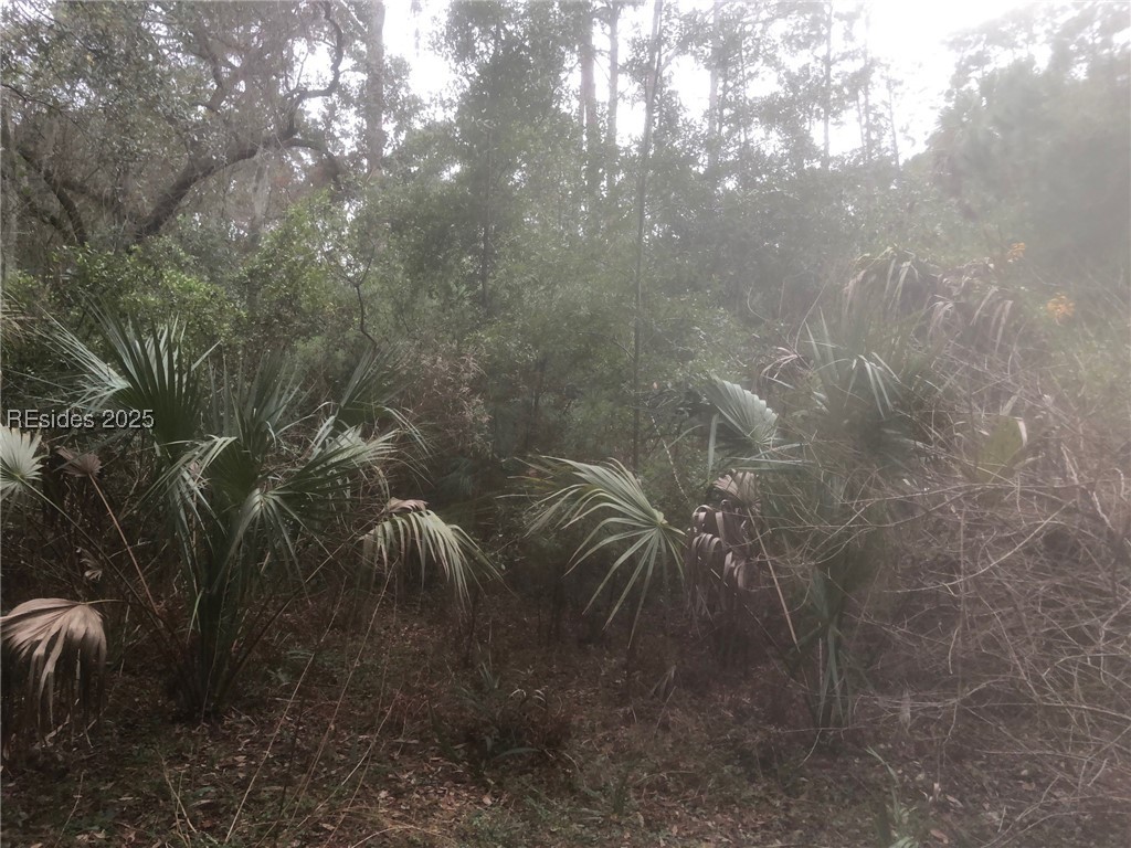 3 Ocean Marsh Court, Saint Helena Island, South Carolina image 15