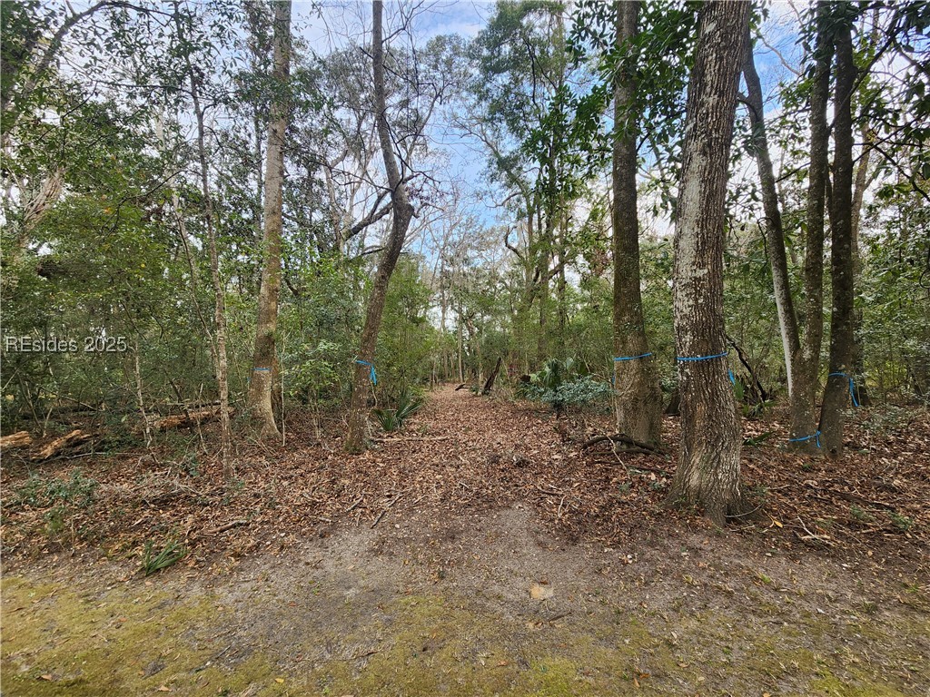 139 Bull Point Drive, Seabrook, South Carolina image 7