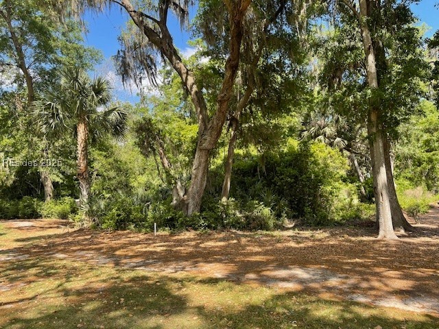29 Winding Oak Drive, Okatie, Texas image 6