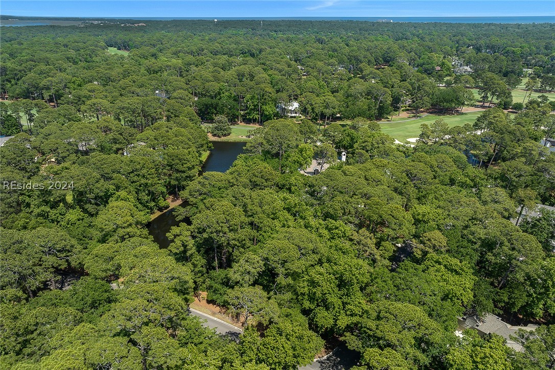 1 Rosebank Lane, Hilton Head Island, South Carolina image 7
