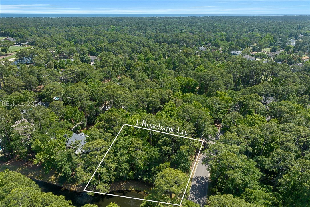 1 Rosebank Lane, Hilton Head Island, South Carolina image 1