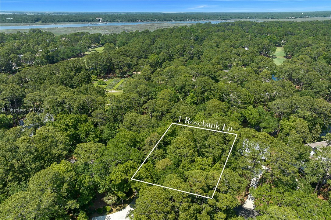 1 Rosebank Lane, Hilton Head Island, South Carolina image 10