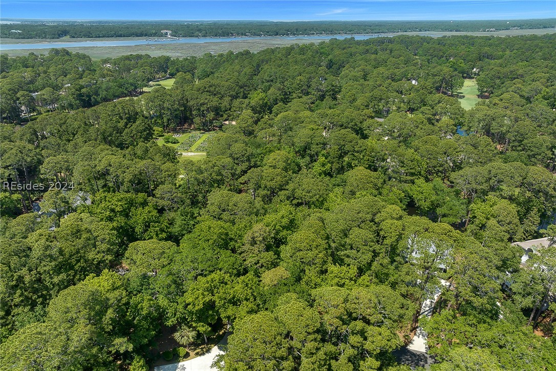 1 Rosebank Lane, Hilton Head Island, South Carolina image 11