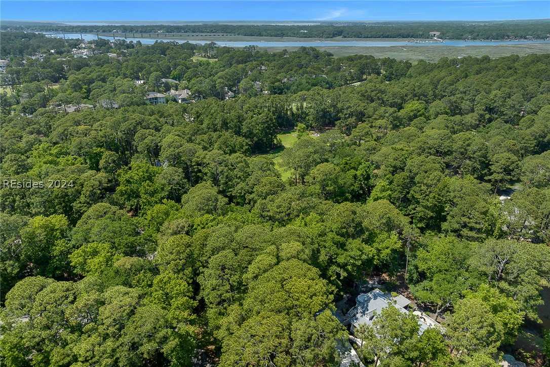 1 Rosebank Lane, Hilton Head Island, South Carolina image 13