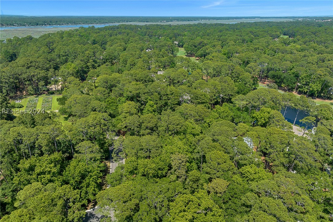 1 Rosebank Lane, Hilton Head Island, South Carolina image 8