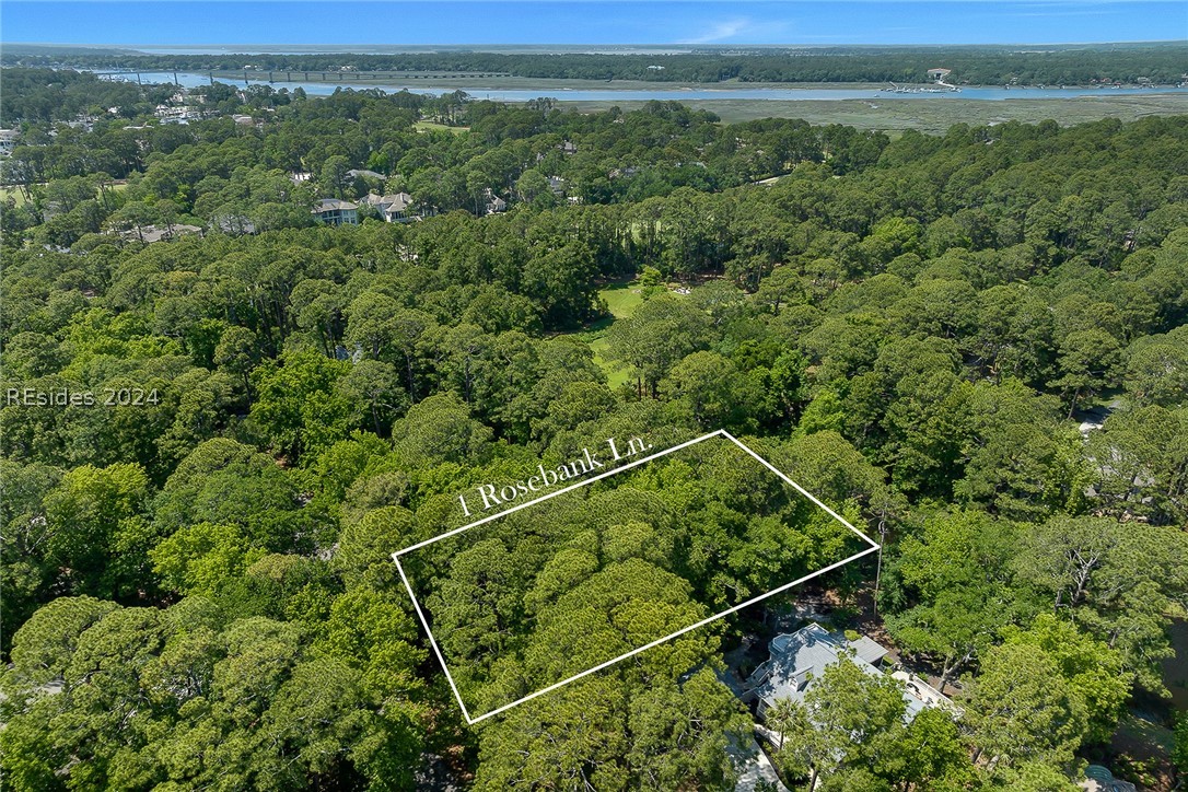 1 Rosebank Lane, Hilton Head Island, South Carolina image 12