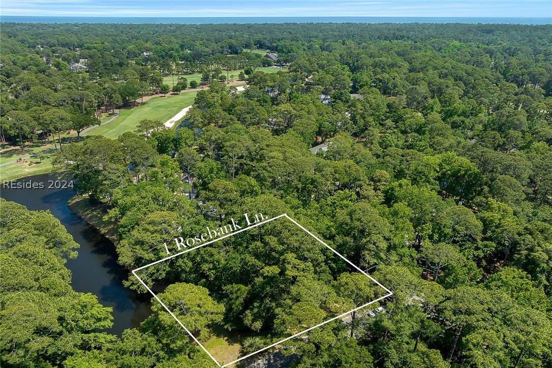 1 Rosebank Lane, Hilton Head Island, South Carolina image 2
