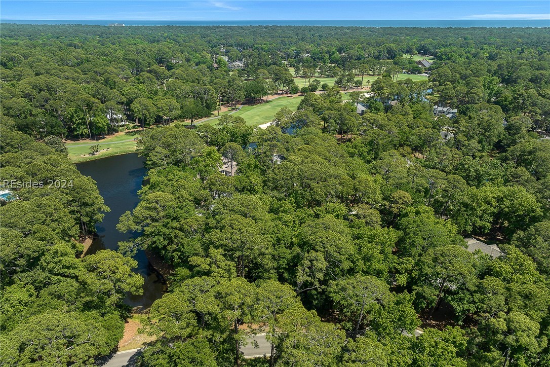 1 Rosebank Lane, Hilton Head Island, South Carolina image 5