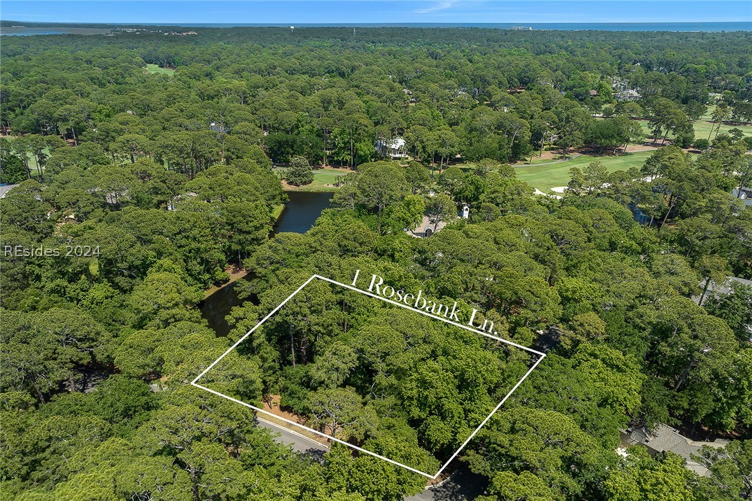 1 Rosebank Lane, Hilton Head Island, South Carolina image 6