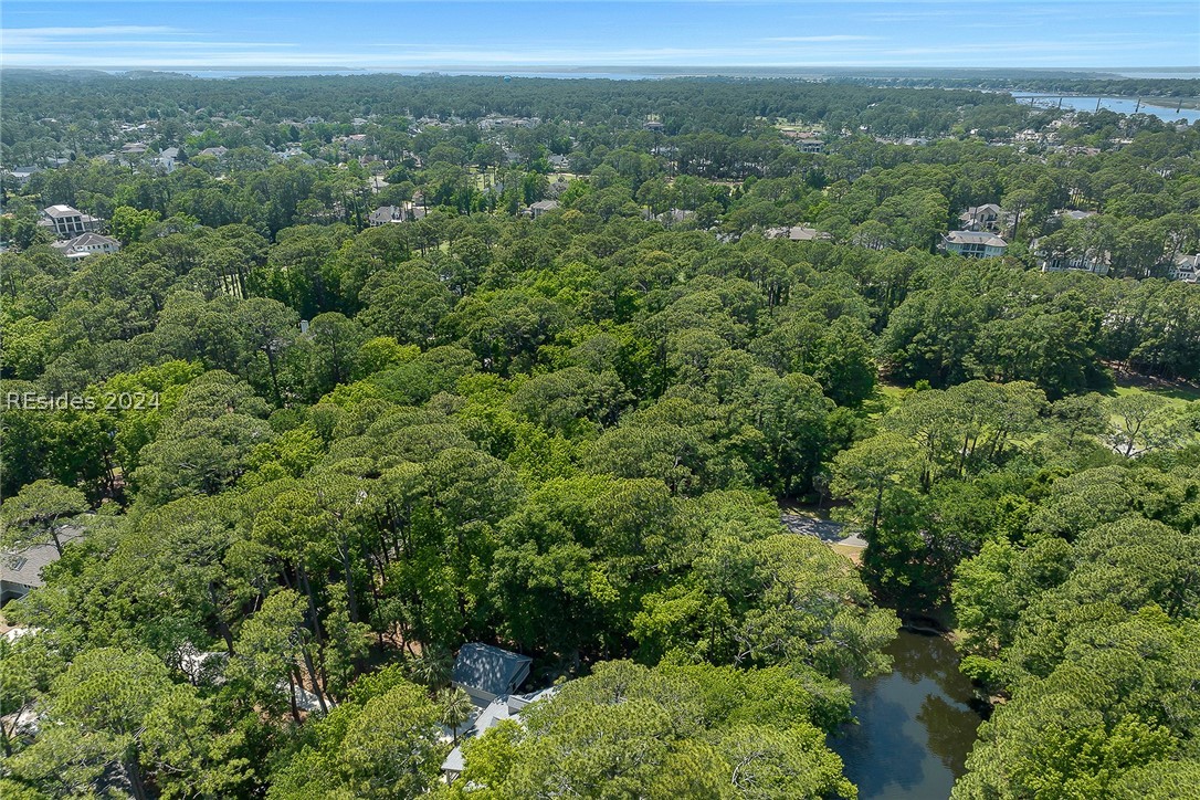 1 Rosebank Lane, Hilton Head Island, South Carolina image 15