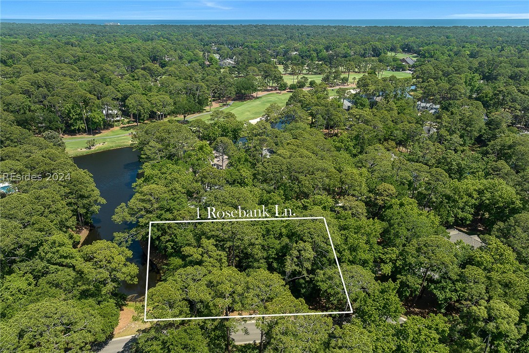 1 Rosebank Lane, Hilton Head Island, South Carolina image 4