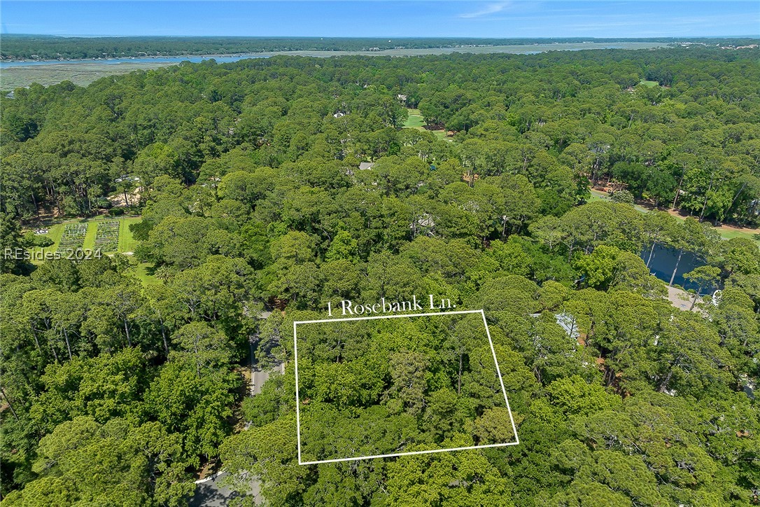 1 Rosebank Lane, Hilton Head Island, South Carolina image 9