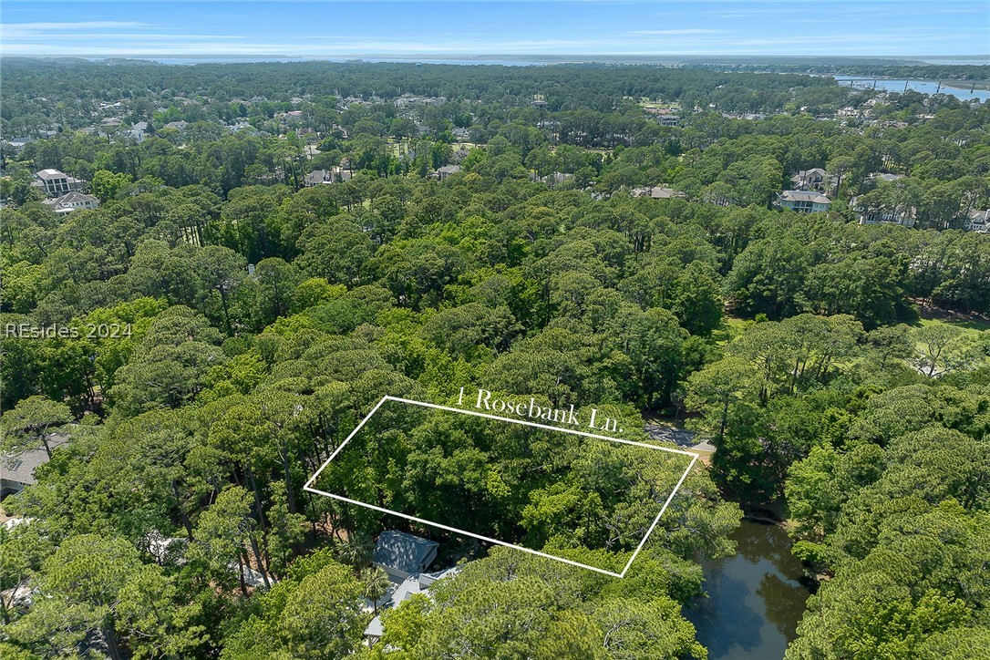 1 Rosebank Lane, Hilton Head Island, South Carolina image 14